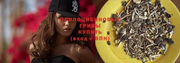 шишки Заволжье
