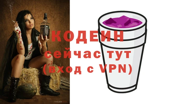шишки Заволжье
