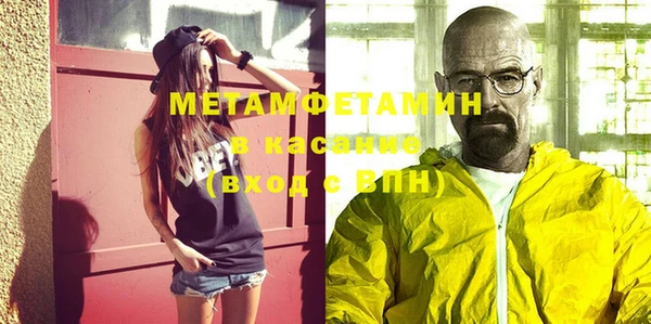 шишки Заволжье