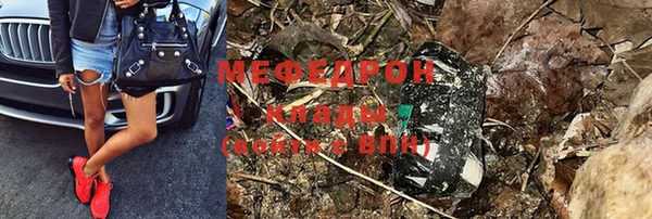 шишки Заволжье