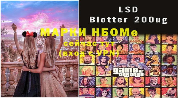 шишки Заволжье