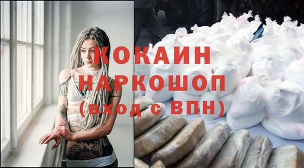 шишки Заволжье