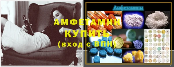 шишки Заволжье
