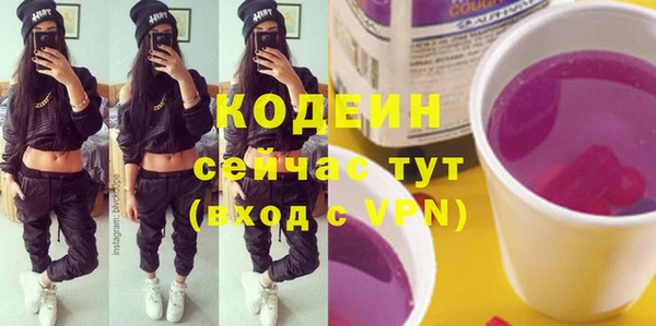 шишки Заволжье