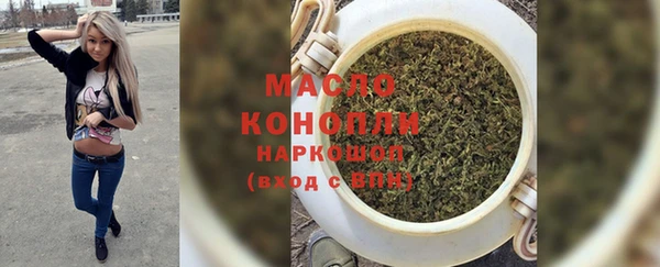 шишки Заволжье